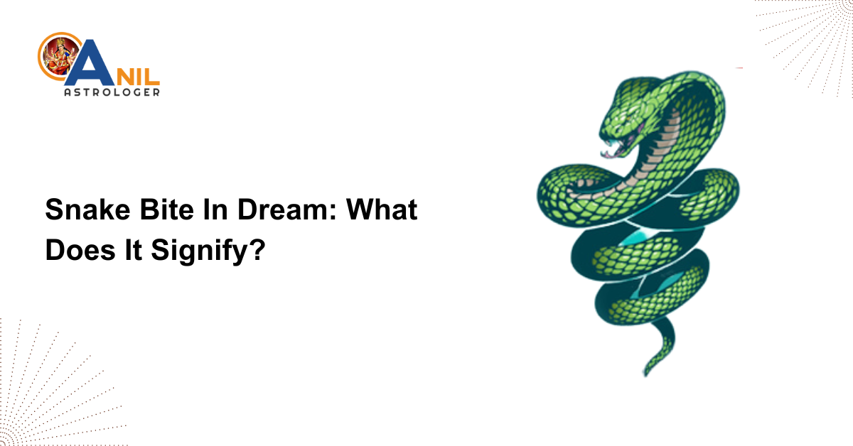 Snake Bite In Dream: What Does It Signify?
